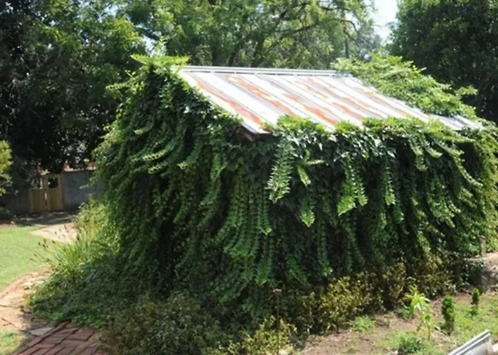 Clevedale Historic Inn And Gardens Spartanburg