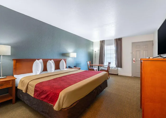 Econo Lodge Airport - Rj Stadium Tampa
