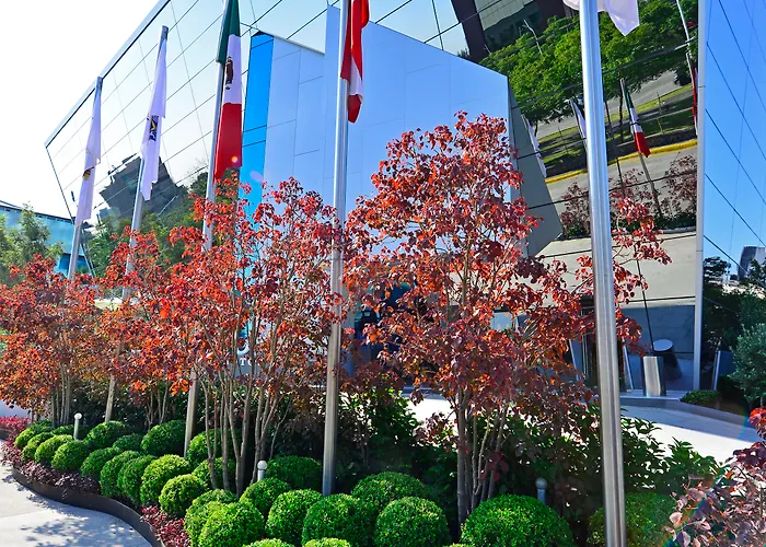 Baruk Guadalajara Hotel De Autor