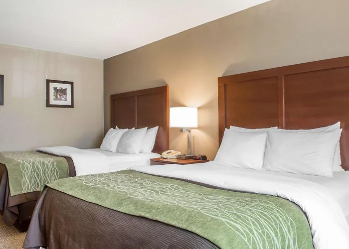 Comfort Inn Edinburg South