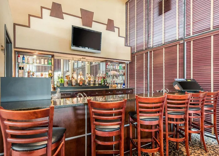 Quality Inn & Suites Tarpon Springs South