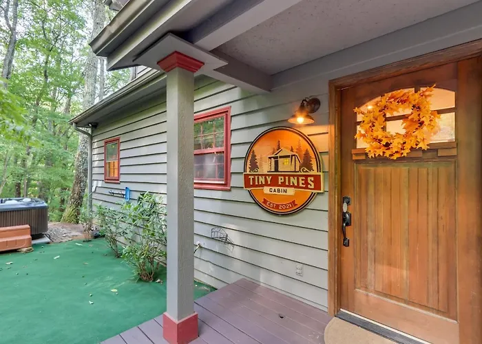 Gorgeous Ellijay Cabin Private Hot Tub And Fire Pit Villa