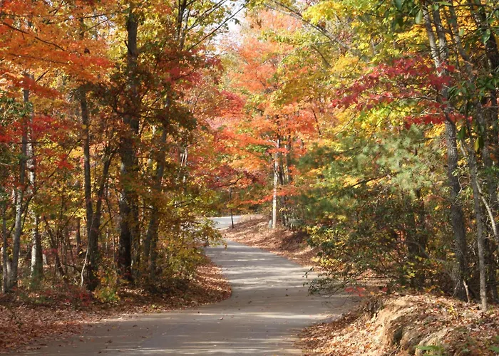 Forrest Hills Mountain Resort Dahlonega