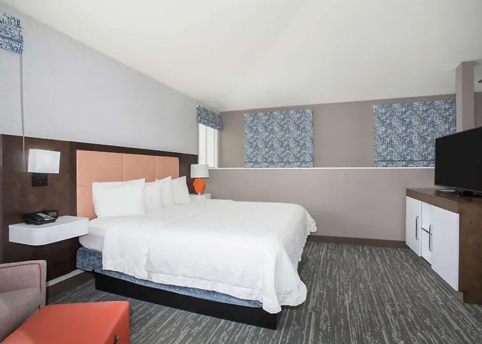Hampton Inn & Suites Denver-Downtown
