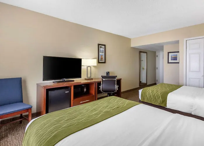 Comfort Inn St Petersburg North