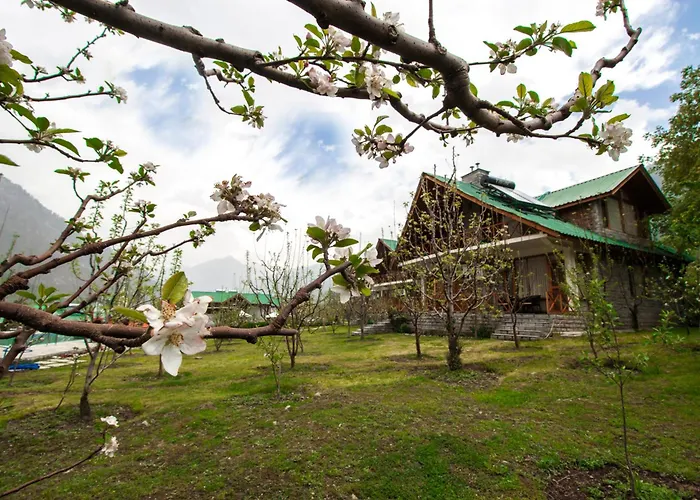 Manali (Himachal Pradesh) 5 Star Hotels