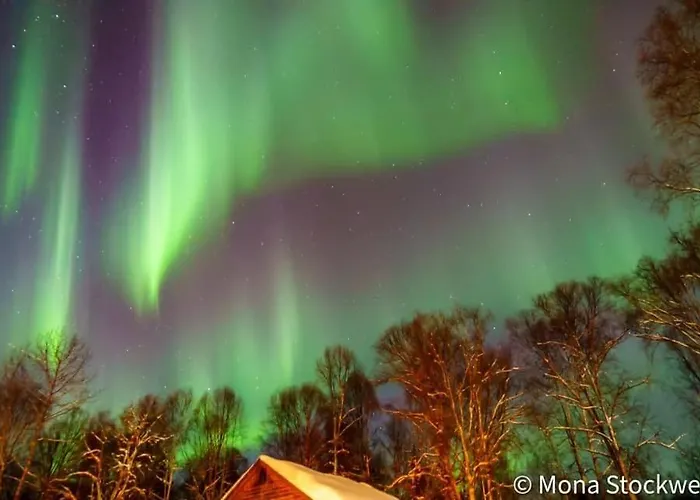 Lodge Suites At Susitna River Lodge Talkeetna