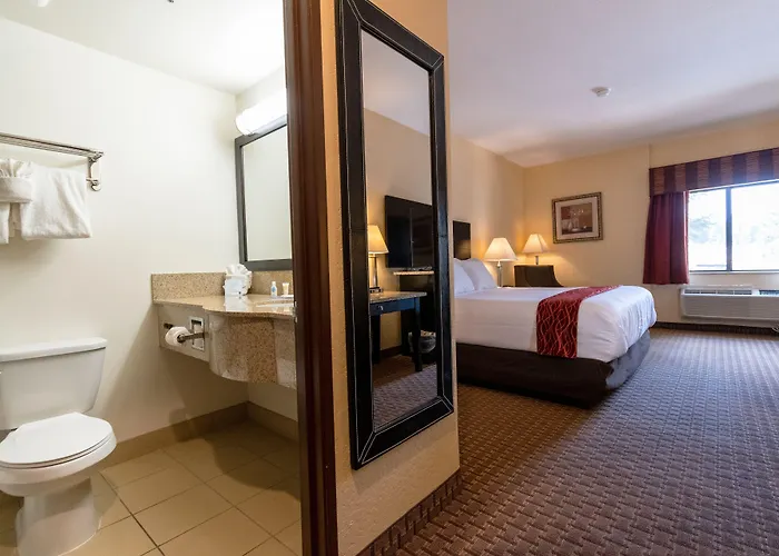 Comfort Inn Near Grand Canyon Williams
