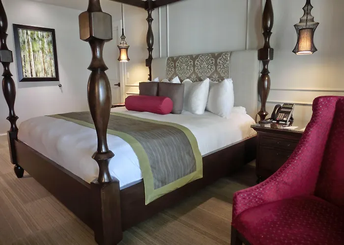 The Birchwood Hotel St. Petersburg