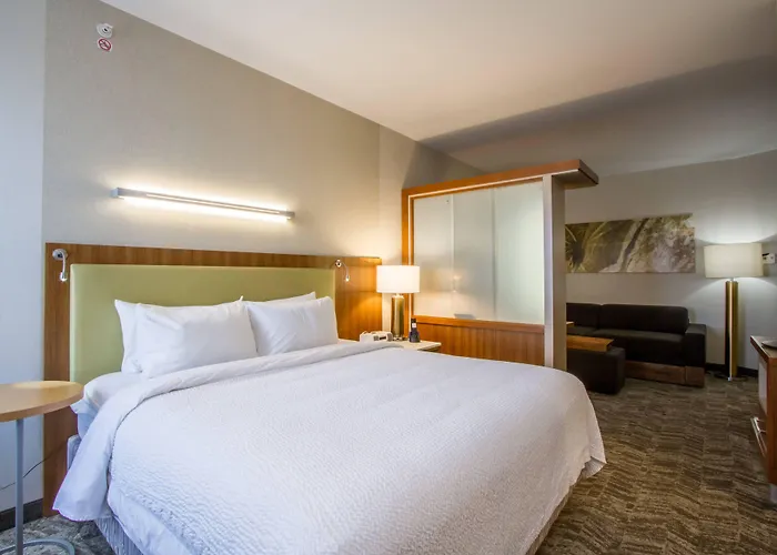 Springhill Suites By Marriott San Angelo