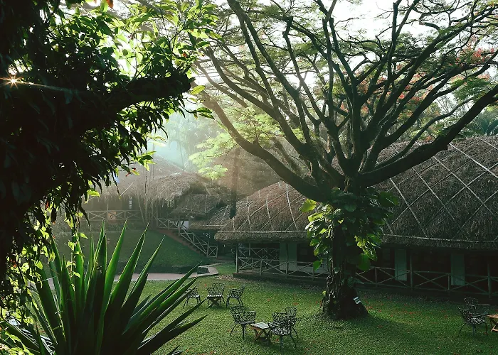 Thekkady 5 Star Hotels