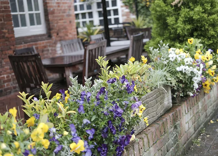 Luxury Hotels in Winchester