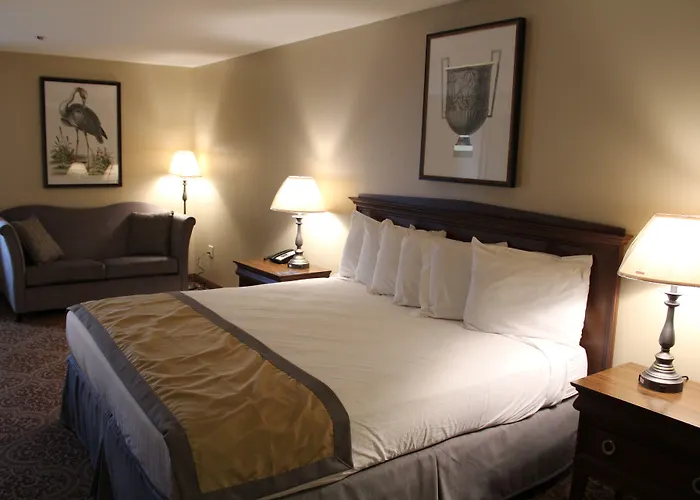 Greenville Inn & Suites