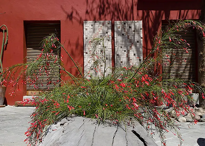Oaxaca Boutique Hotels