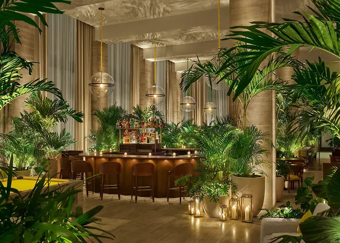 Tampa 5 Star Hotels