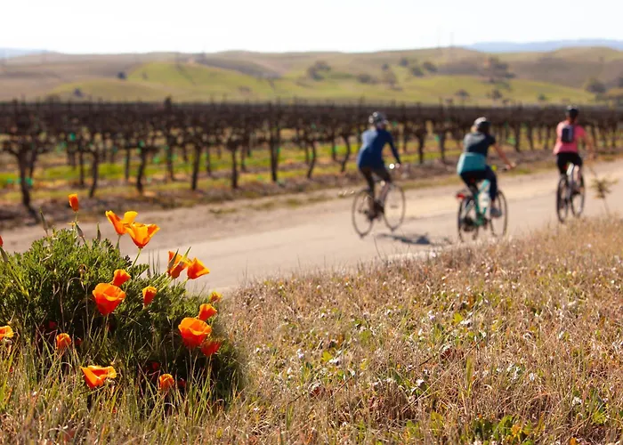 Purple Orchid Resort & Spa Livermore