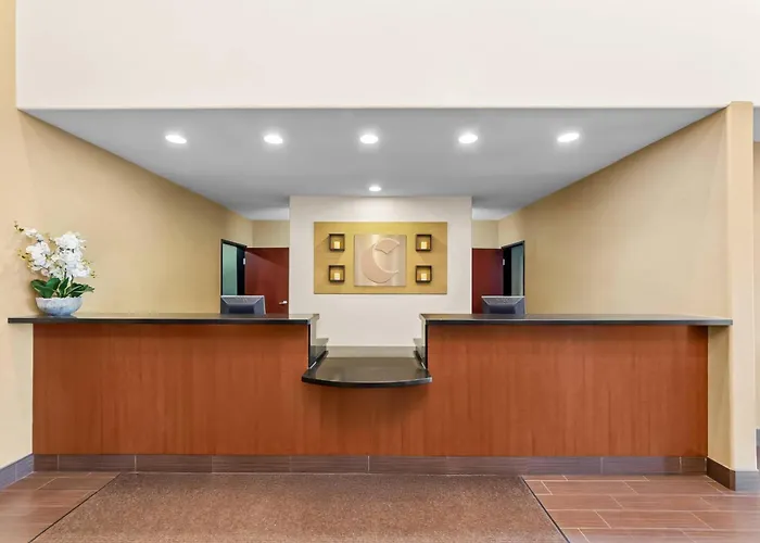 Comfort Suites San Antonio North - Stone Oak