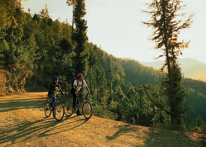 Shimla Boutique Hotels