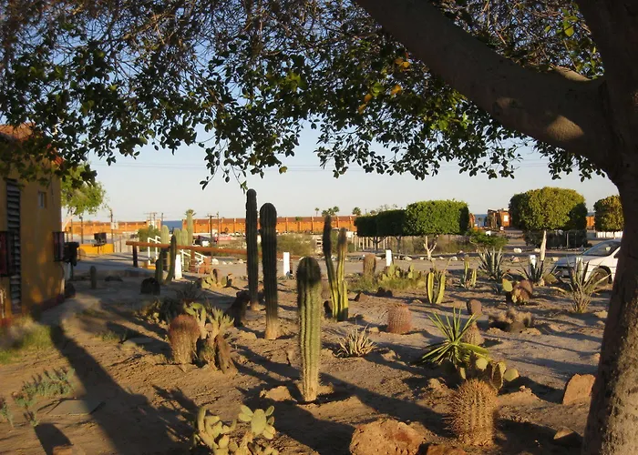 Las Palmas Hotel San Felipe 