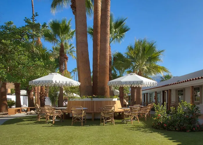 Dive Palm Springs Hotel - 21 & Over